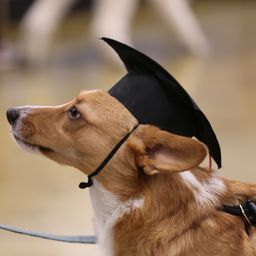 photograph by PeterW